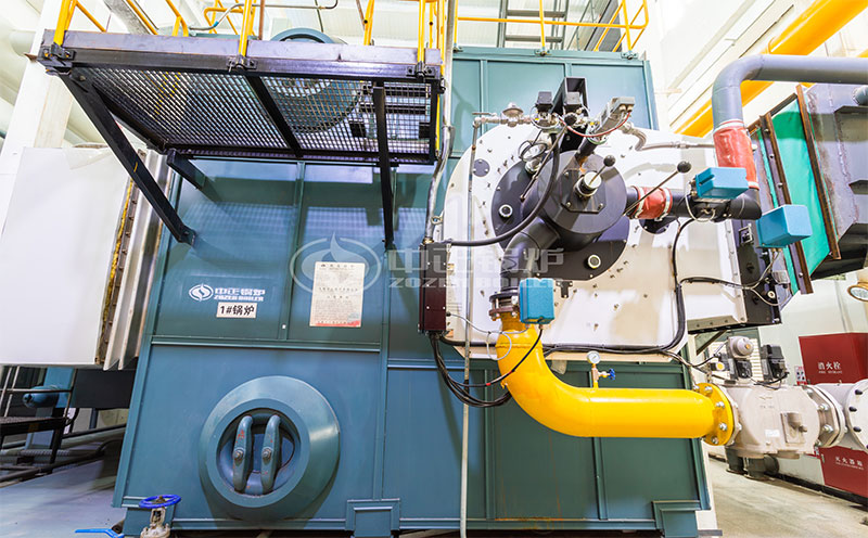 45噸鍋爐客戶(hù)案例圖片