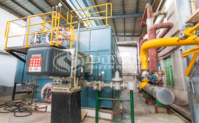 生物質(zhì)鍋爐甘肅客戶案例圖片