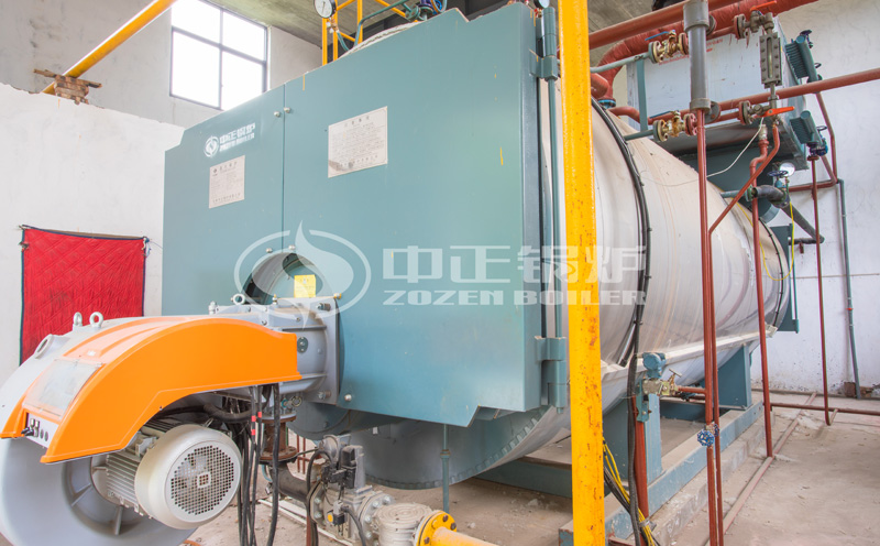 生物質(zhì)30噸蒸汽鍋爐生產(chǎn)廠家客戶案例圖片