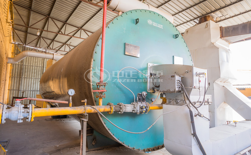 生物質(zhì)蒸汽鍋客戶案例圖片