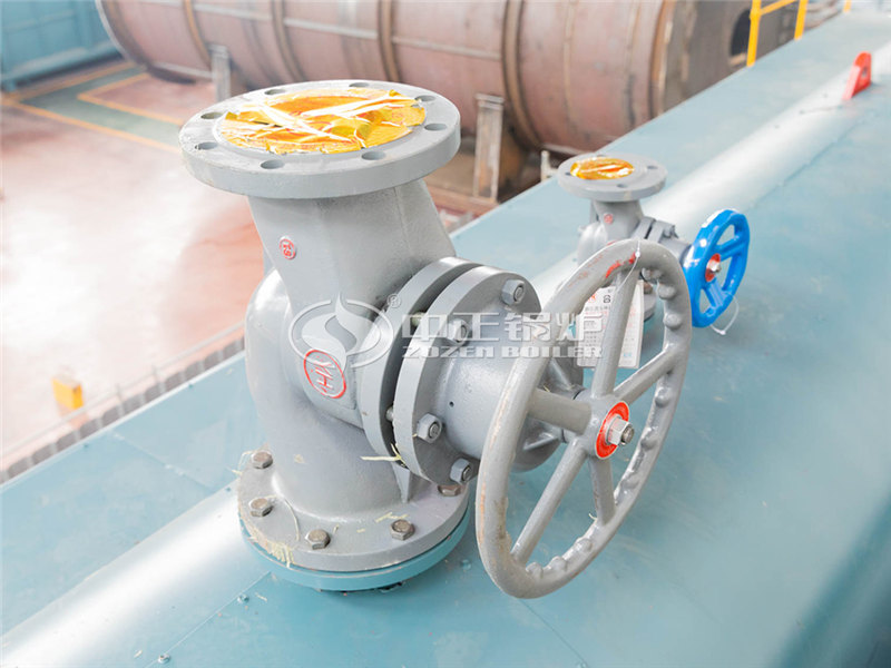 兩噸燃?xì)庹羝仩t哪個(gè)更省錢(qián)一點(diǎn)